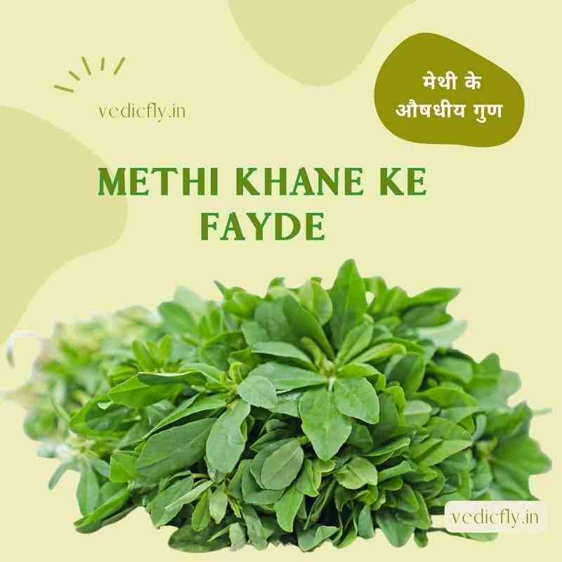 this is images are included keywords-Methi Khane Ke Fayde , green vegetable for methi Fenugreek benefits like medicinal , 