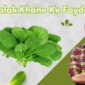 palak khane ke fayde in hindi