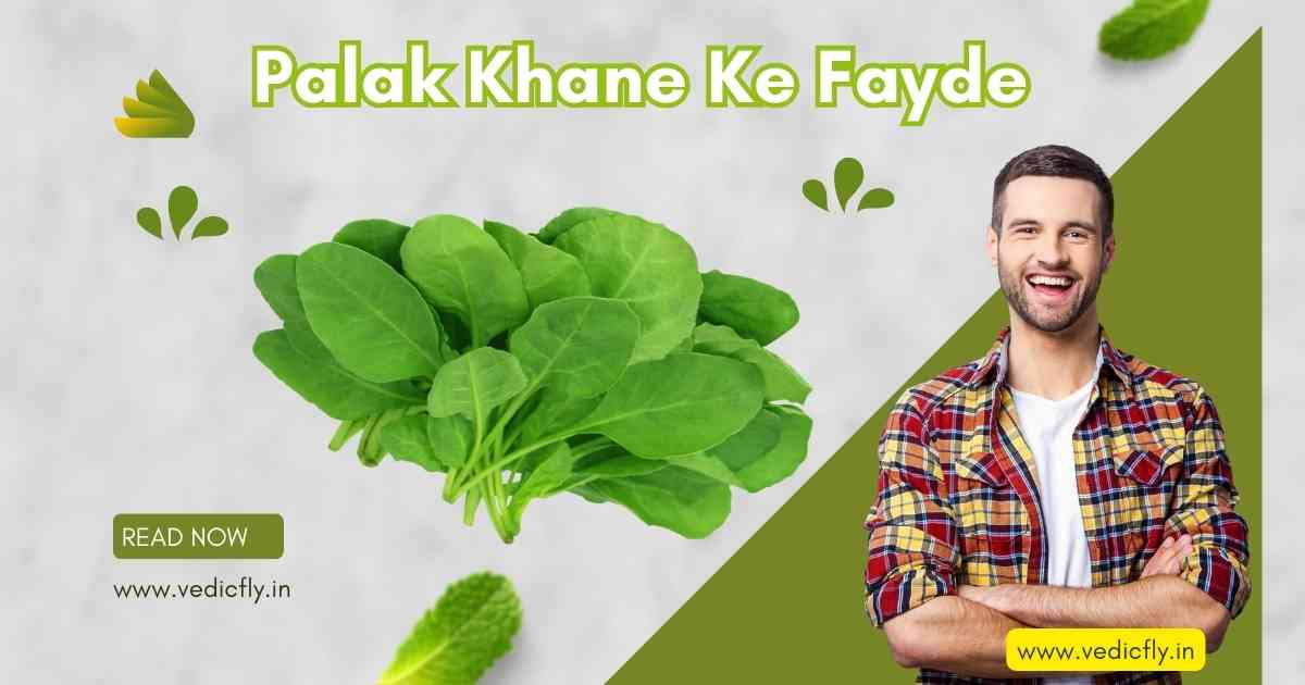 palak khane ke fayde in hindi