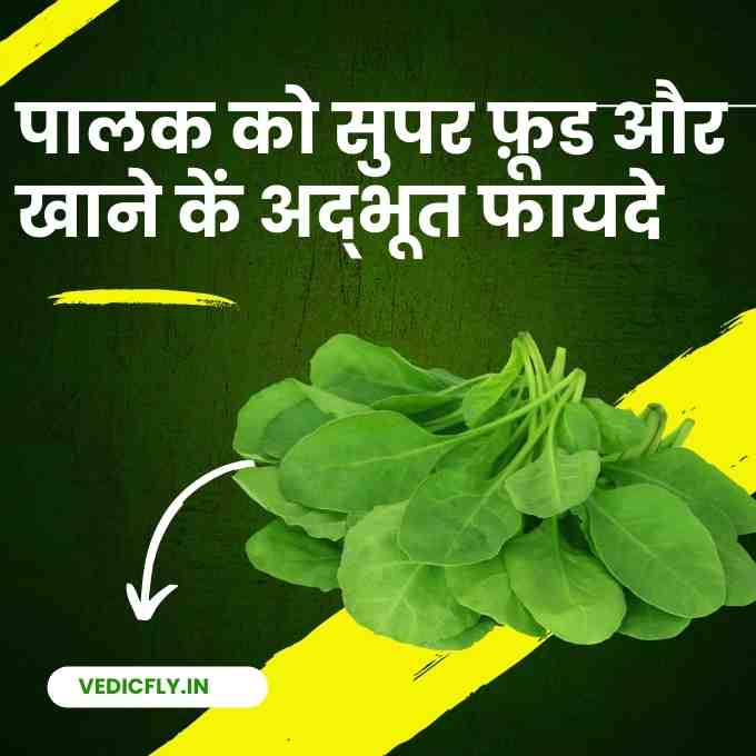 this image for  Spinach Health Benefits: Palak Khane Ke Fayde:पालक को सुपर फ़ूड और खाने कें अद्भूत फायदे.