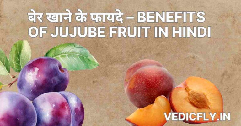 बेर खाने के फायदे – Benefits of Jujube Fruit in Hindi