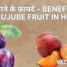 बेर खाने के फायदे – Benefits of Jujube Fruit in Hindi